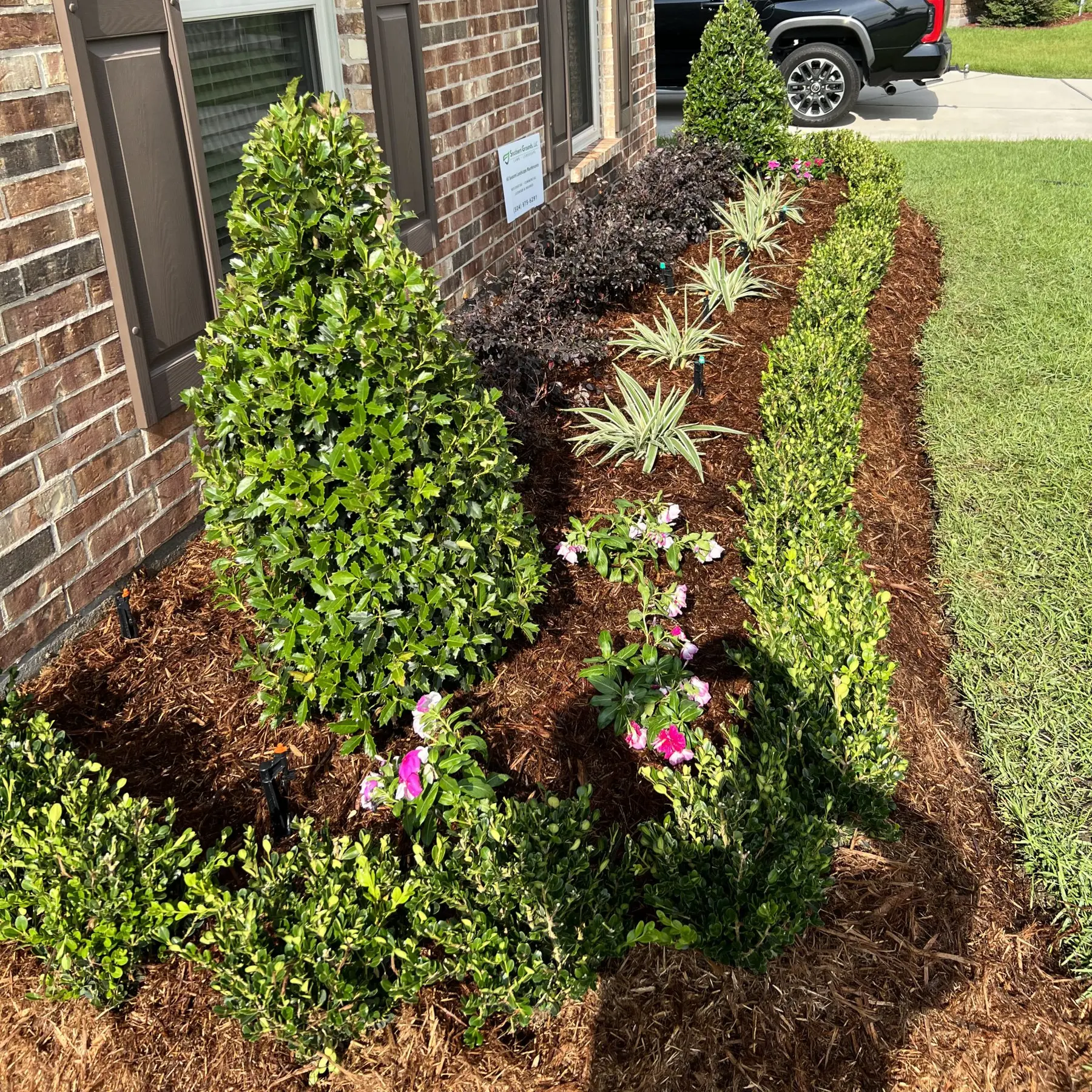 Garden bed in Southeast Louisiana.