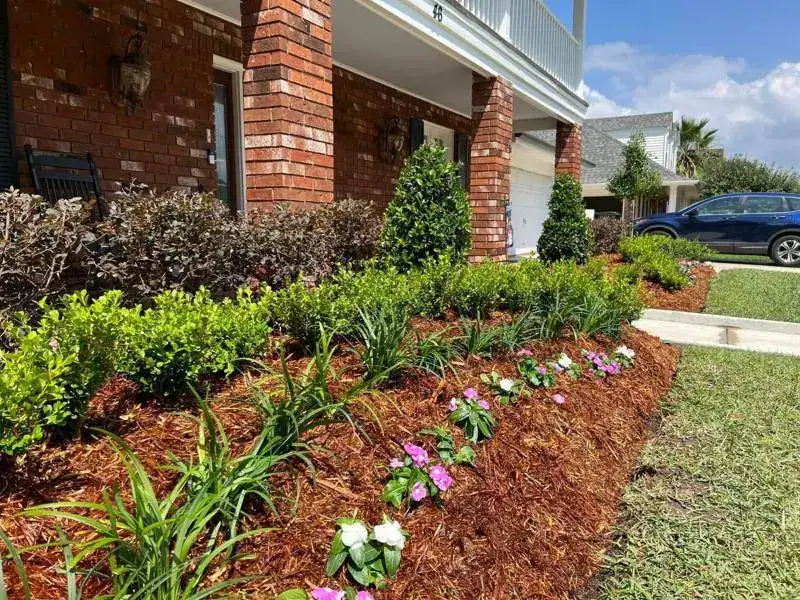 Flower bed and trimmed shrubs in a New Orleans yard.