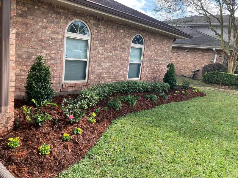 Mulched bed with shrubs along a house.