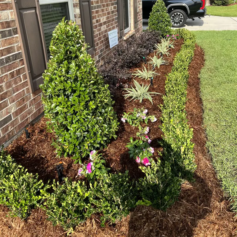 Garden bed in Southeast Louisiana.