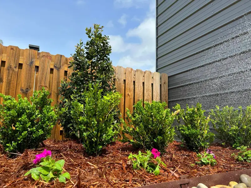 Landscaping on the Westbank, New Orleans.