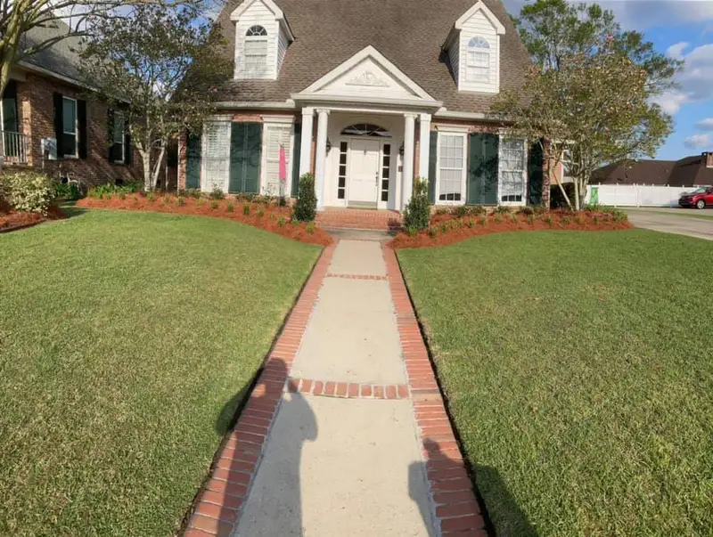 Curved mulched bed with shrubs and a small tree.